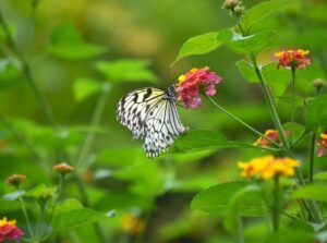 capture d’écran 2025 12 30 181022