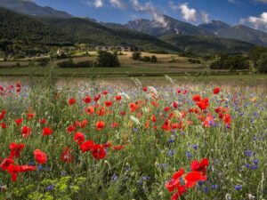 capture d’écran 2025 12 30 180915