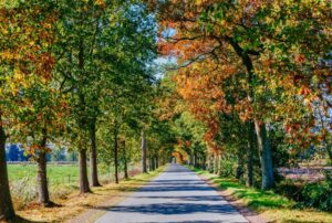 capture d’écran 2025 12 30 180657