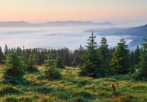 capture d’écran 2025 12 30 181628