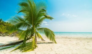 capture d’écran 2025 12 30 183135