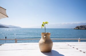 capture d’écran 2026 03 02 183906